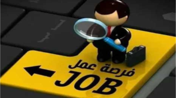 وظائف خالية في 3 محافظات برواتب تصل لـ12 ألف جنيه.. الشروط والأوراق المطلوبة